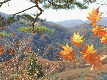 東莞壓鑄環(huán)評(píng)
